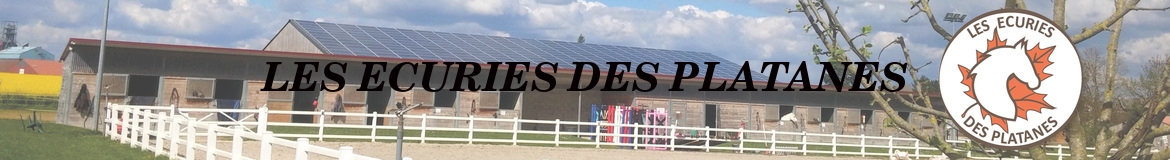 LES ECURIES DES PLATANES